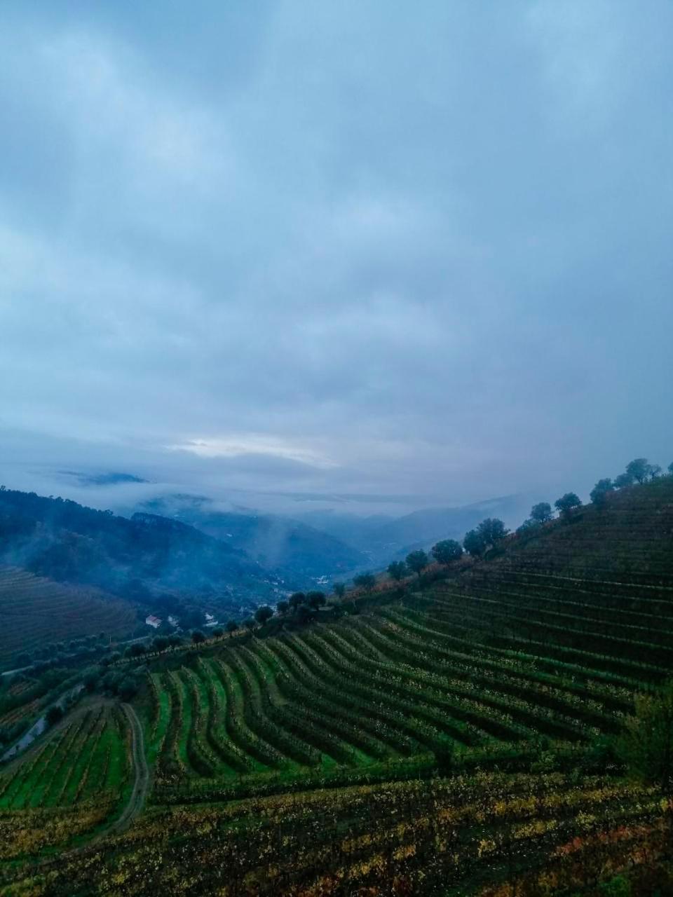 Willa Quinta De Baixo Vila Marim Zewnętrze zdjęcie