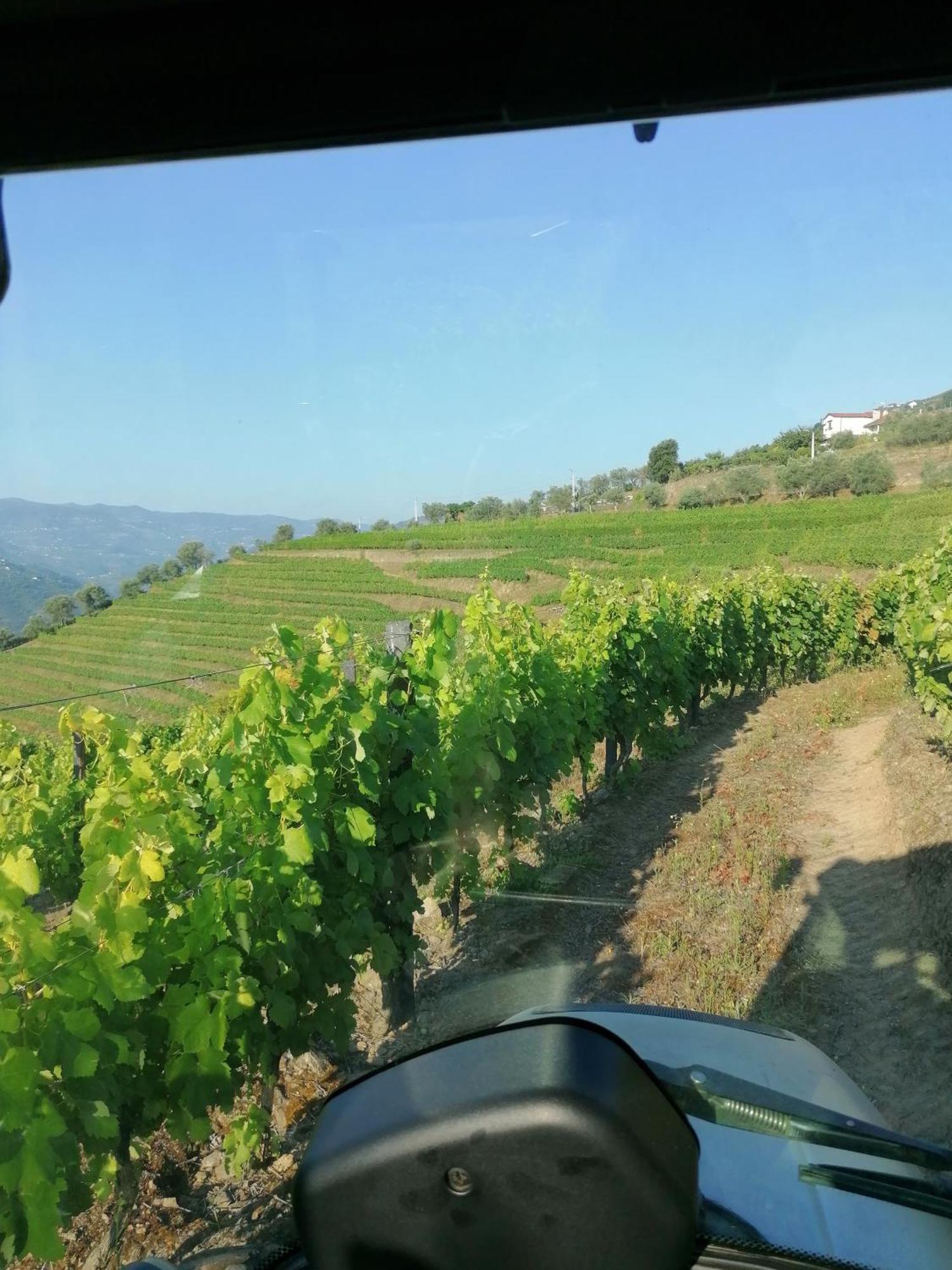 Willa Quinta De Baixo Vila Marim Zewnętrze zdjęcie